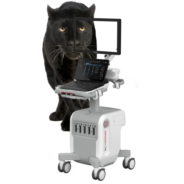 Esaote MyLab Panther