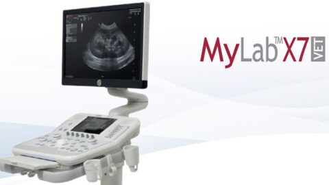 Esaote MyLab X7 VET