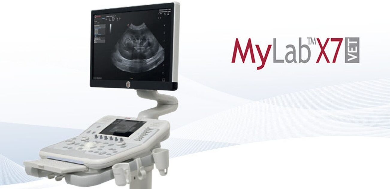 Esaote MyLab X7 VET