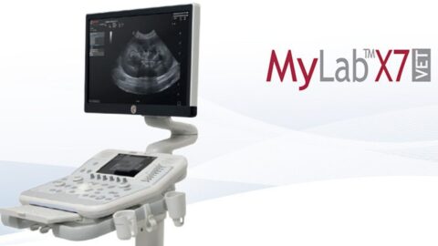 Esaote MyLab X7 VET