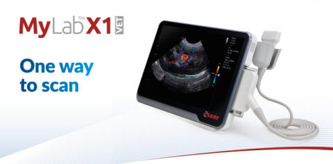 Esaote MyLab X1 VET