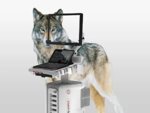 Esaote MyLab Wolf